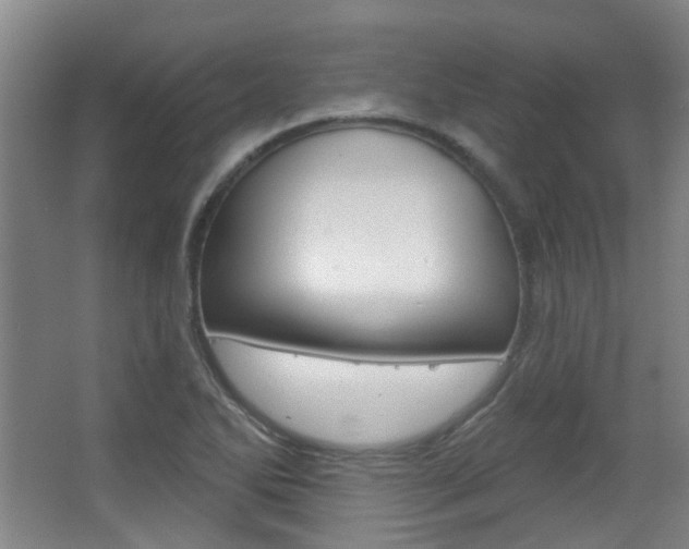 X0000063481270200601201015