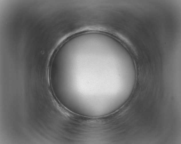 X0000063481272200601201015