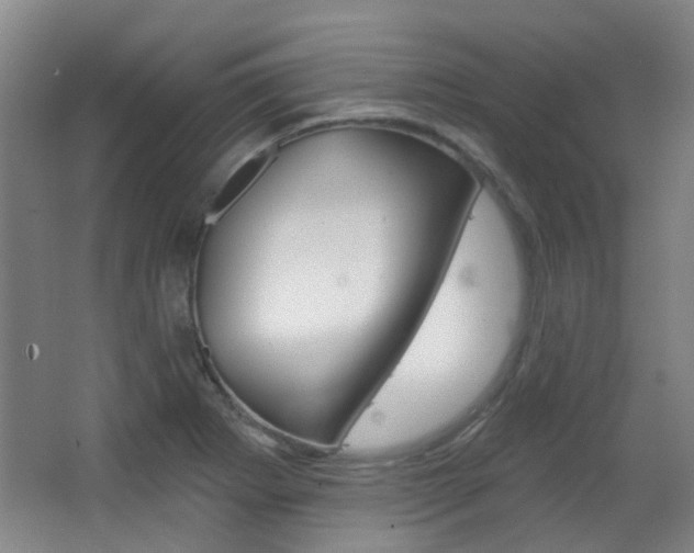 X0000063481273200601201015