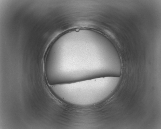 X0000063481275200601201015