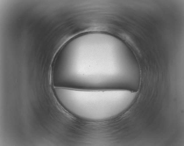 X0000063481276200601201015