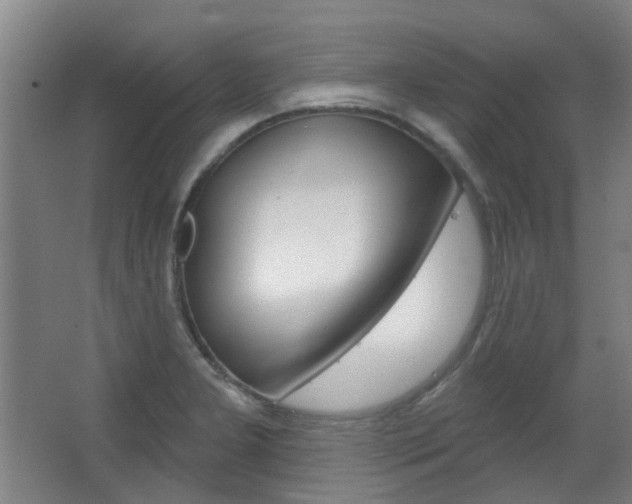 X0000063481277200601201015