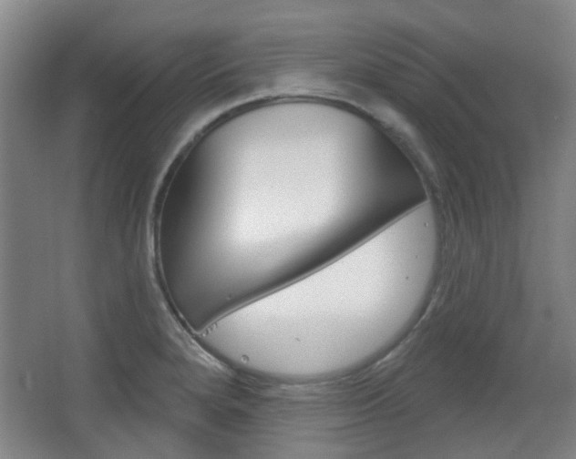X0000063481280200601201015