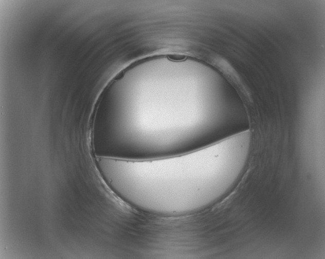 X0000063481284200601201015