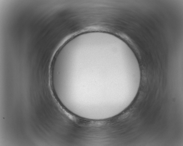 X0000063481286200601201015