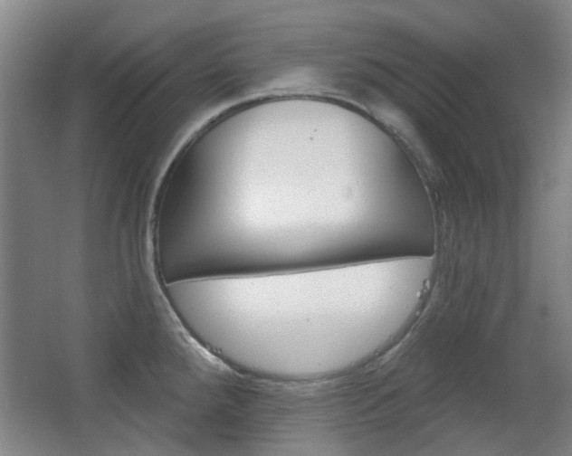 X0000063481288200601201015