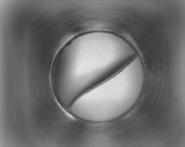 X0000063481293200601201015