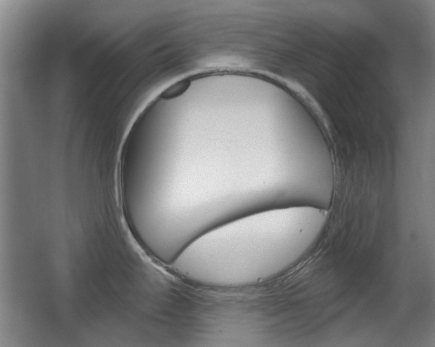 X0000063481295200601201015