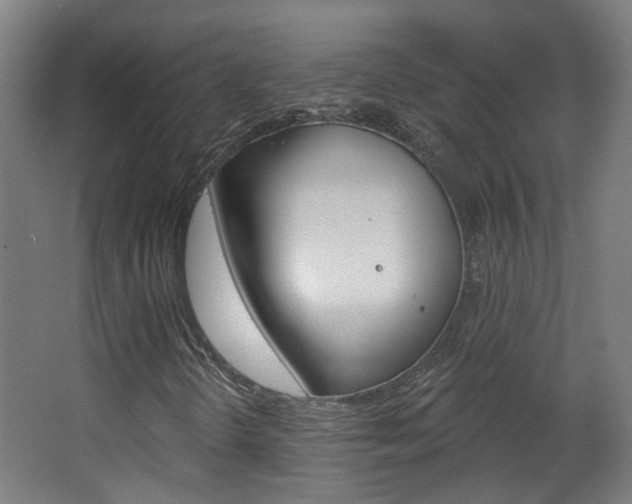 X0000063481298200601201014