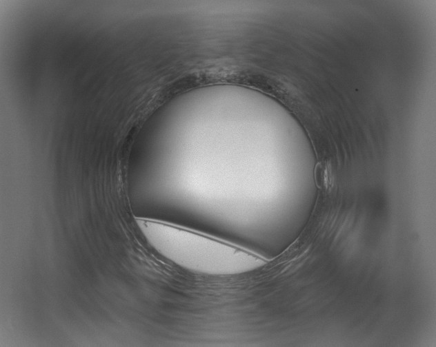 X0000063481299200601201014