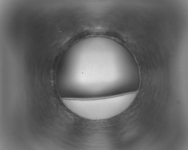 X0000063481301200601201014