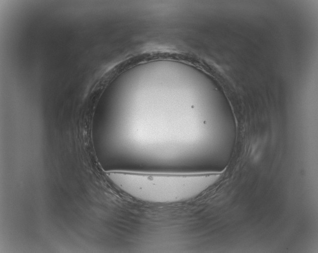X0000063481303200601201014