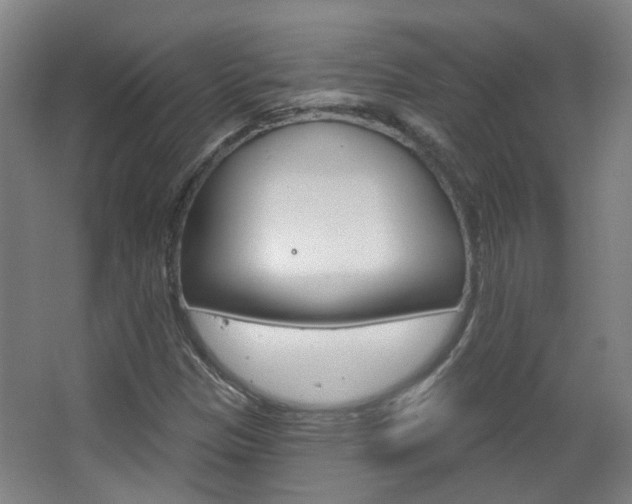 X0000063481305200601201014