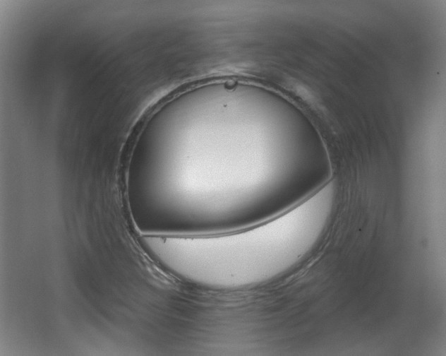 X0000063481308200601201014