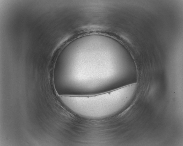 X0000063481309200601201014