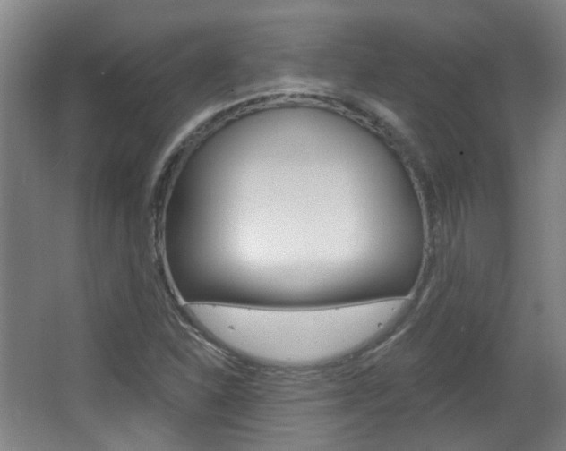 X0000063481310200601201014