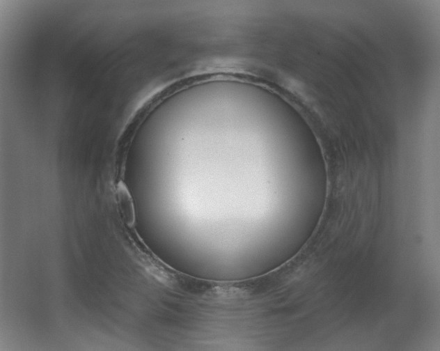 X0000063481312200601201014