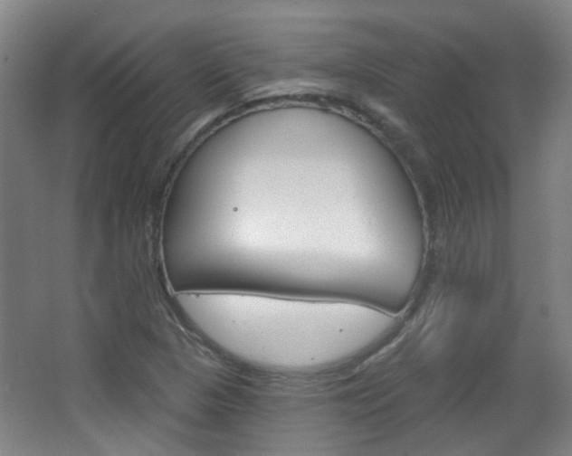 X0000063481313200601201014
