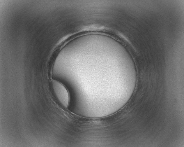 X0000063481315200601201014