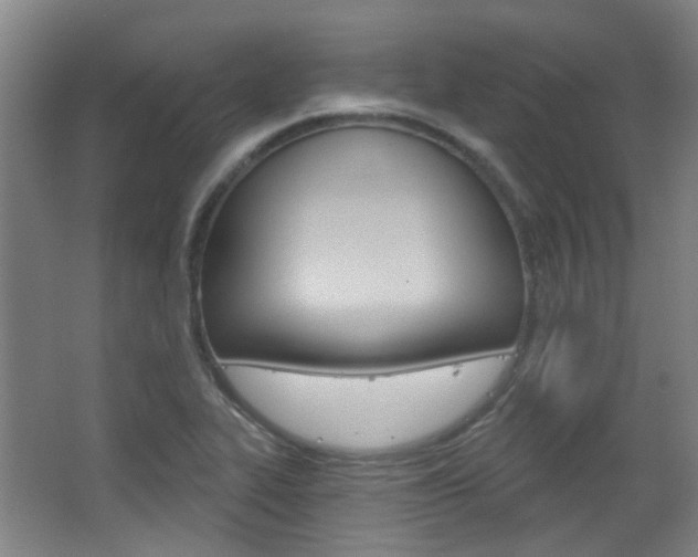 X0000063481319200601201014