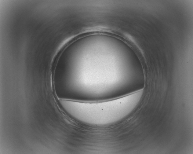 X0000063481320200601201014