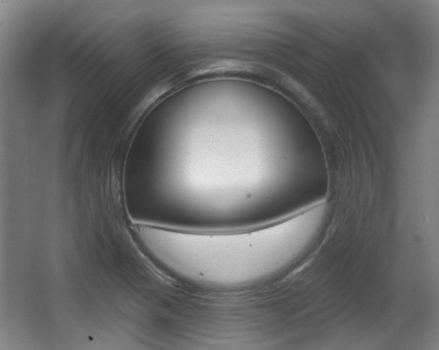 X0000063481321200601201014