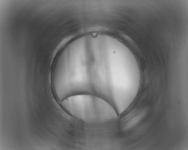 X0000063481322200601201014