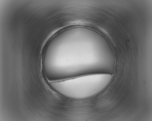 X0000063481323200601201015