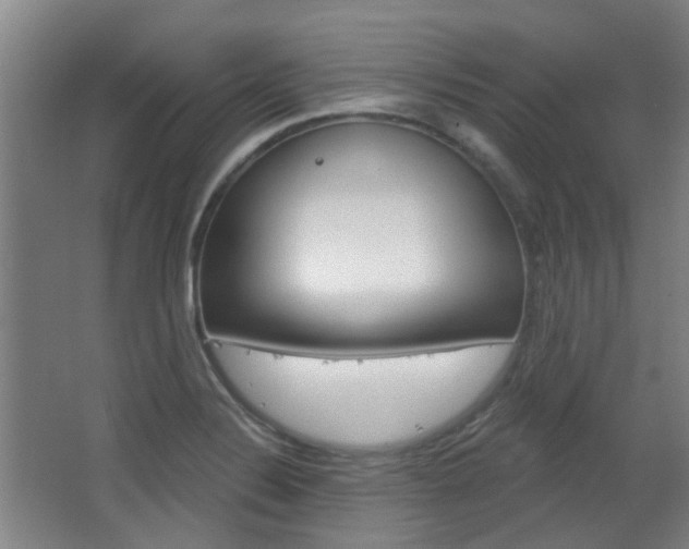 X0000063481324200601201015