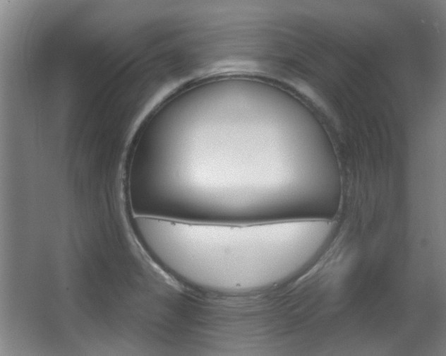 X0000063481325200601201015