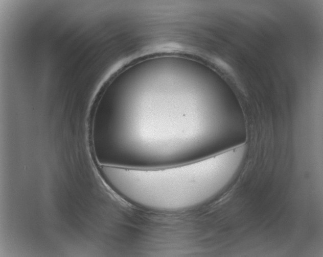 X0000063481326200601201015
