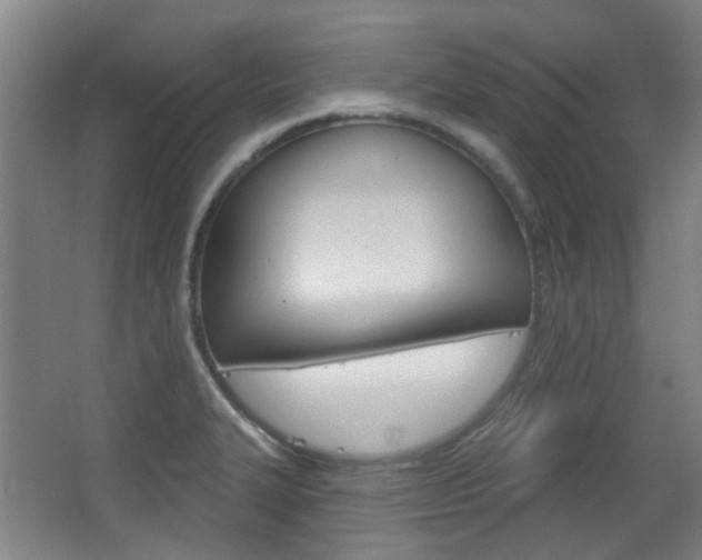 X0000063481327200601201015