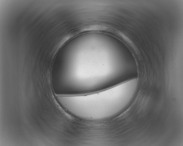 X0000063481329200601201015