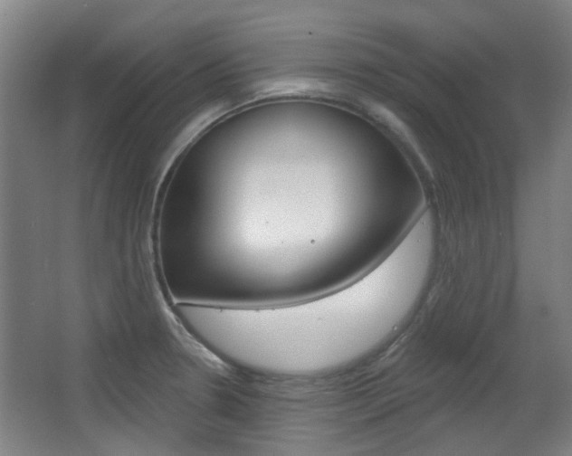 X0000063481330200601201015