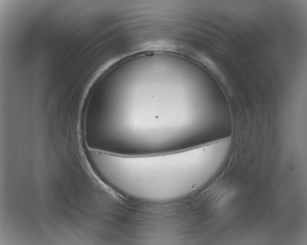 X0000063481331200601201015