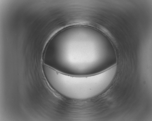 X0000063481332200601201015