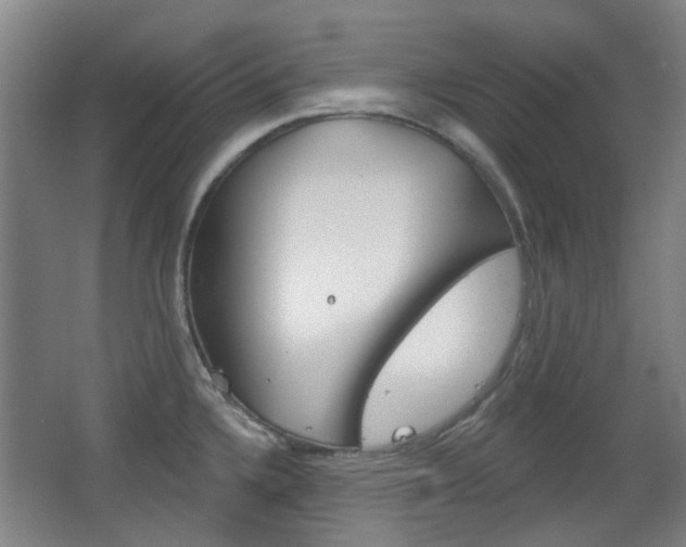 X0000063481336200601201015