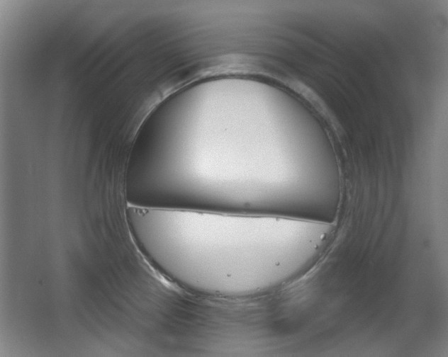 X0000063481337200601201015