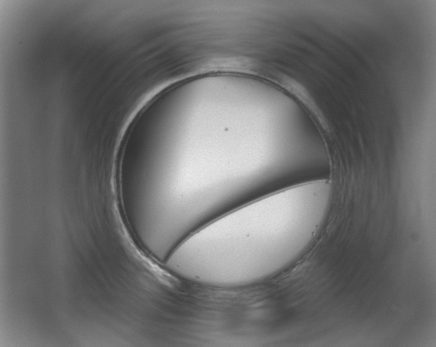 X0000063481339200601201015