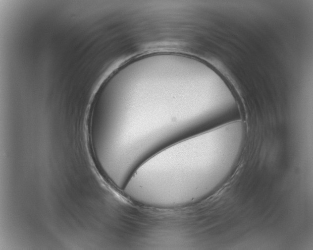 X0000063481341200601201015