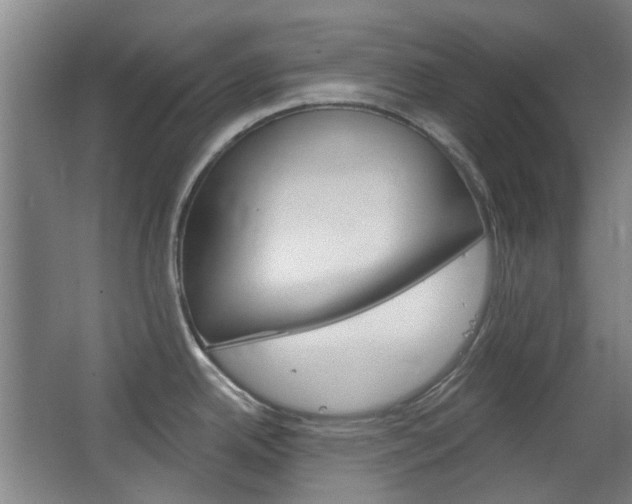 X0000063481342200601201015