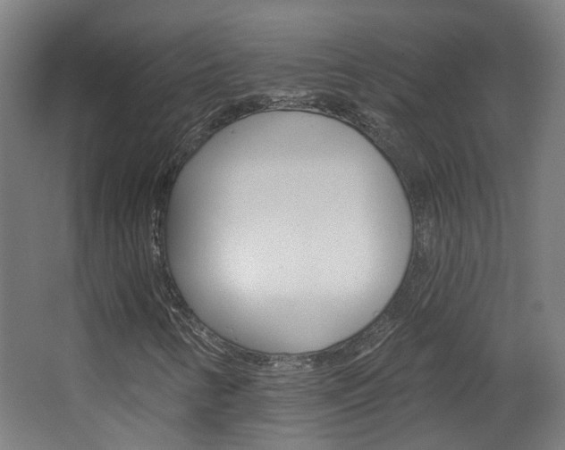 X0000063481346200601201014