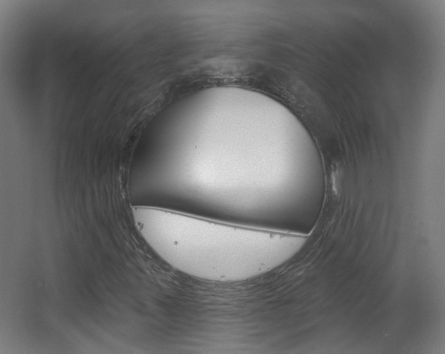X0000063481347200601201014