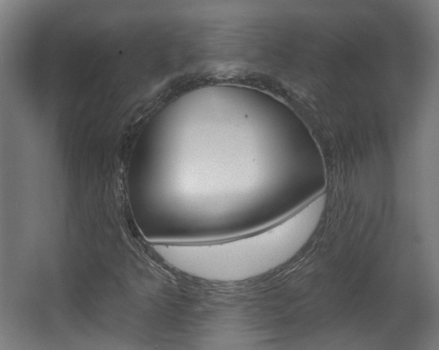 X0000063481349200601201014