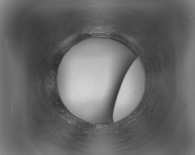 X0000063481350200601201014