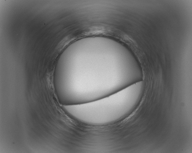 X0000063481353200601201014
