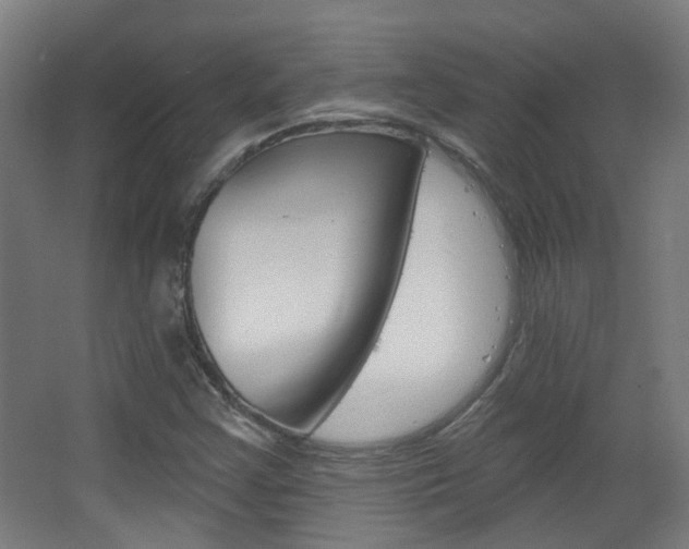X0000063481355200601201014