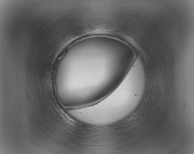 X0000063481356200601201014