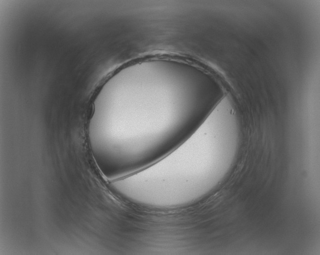 X0000063481359200601201014