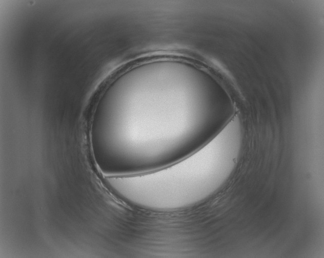 X0000063481360200601201014